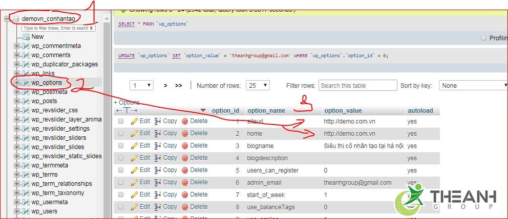 Thay đổi domain trong bảng wp options