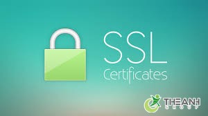 ssl la gi